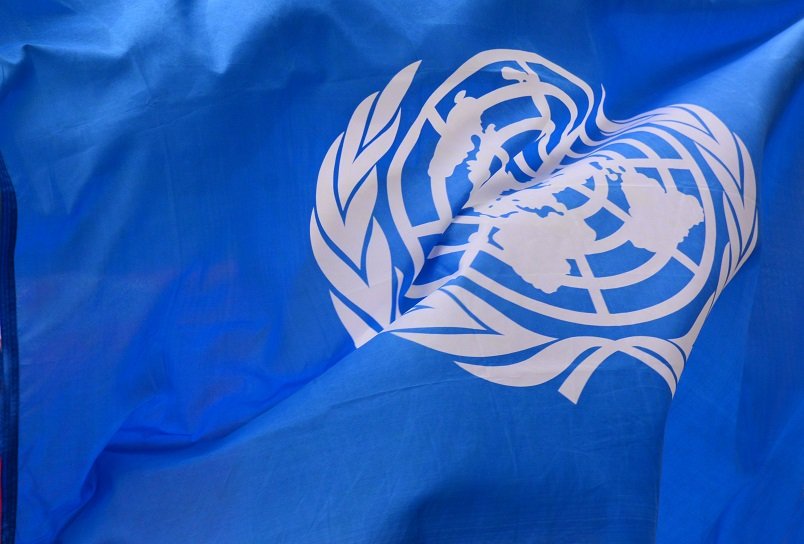United Nations Biological Diversity Conference (COP 15) adopted a new global target for 2030