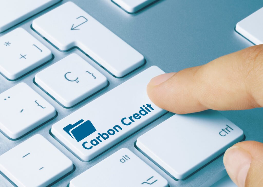 Vietnam promulgates PM directive on strengthening carbon credit management
